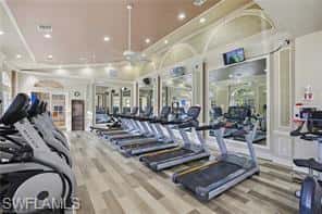 9164 Springview Loop, Estero, photo 43