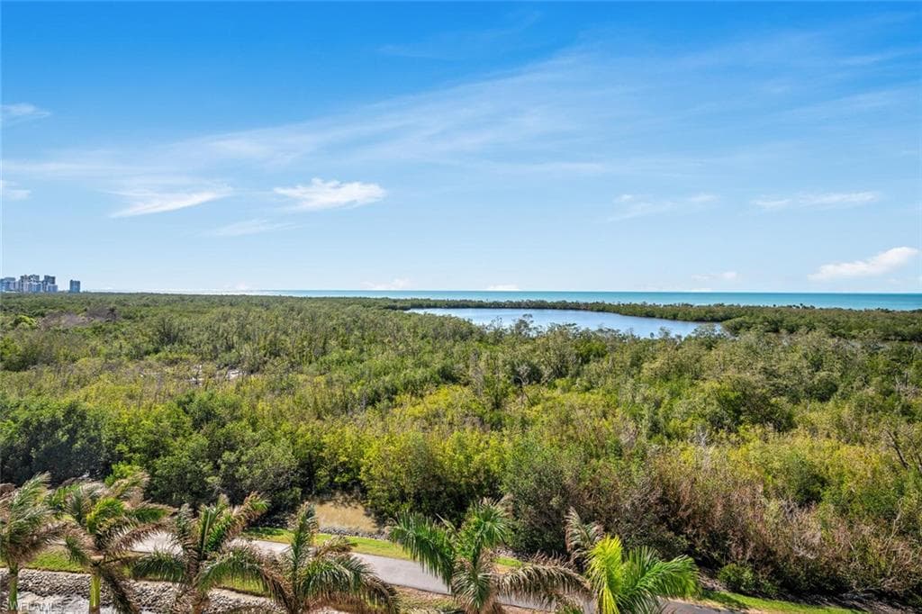 6849 Grenadier Blvd #802, Naples, photo 2