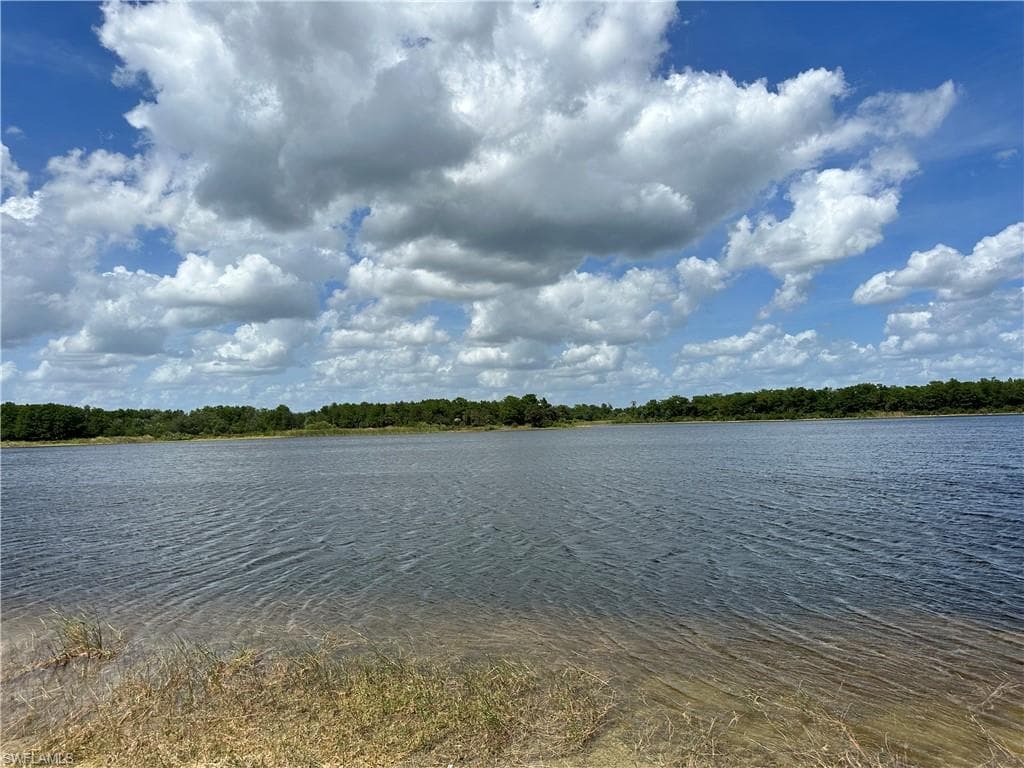 515 Shady Hollow Blvd, Naples, photo 2