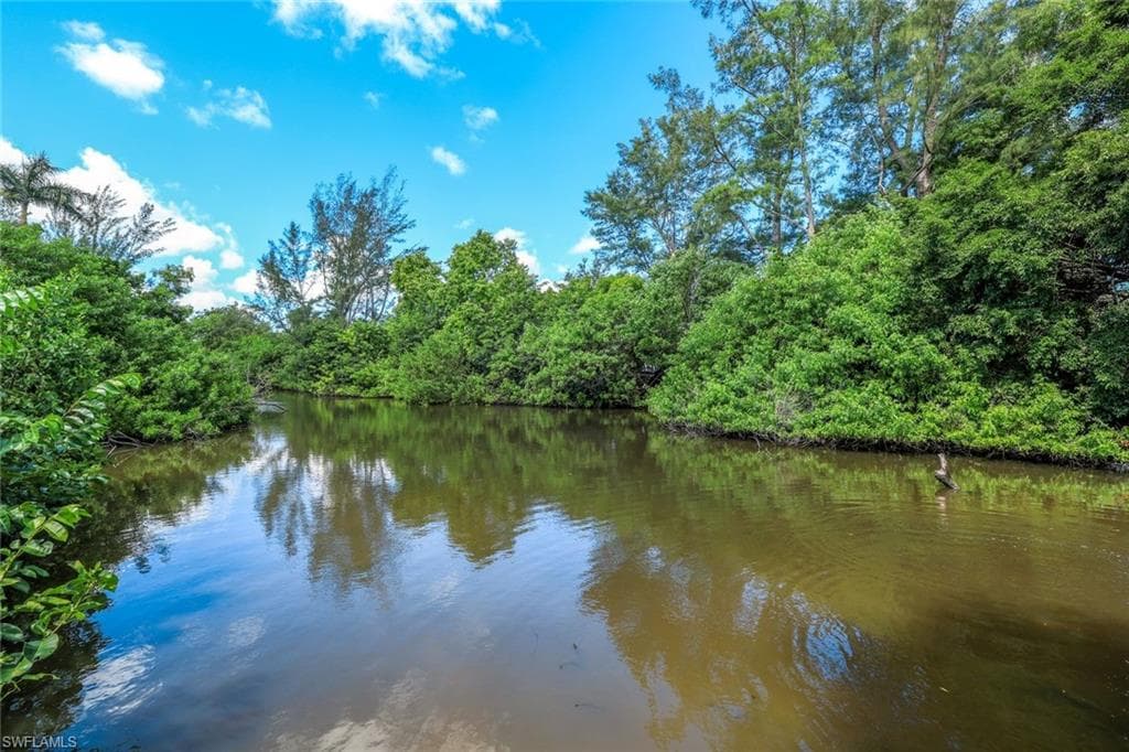 3980 Full Moon Ct, Naples, photo 3