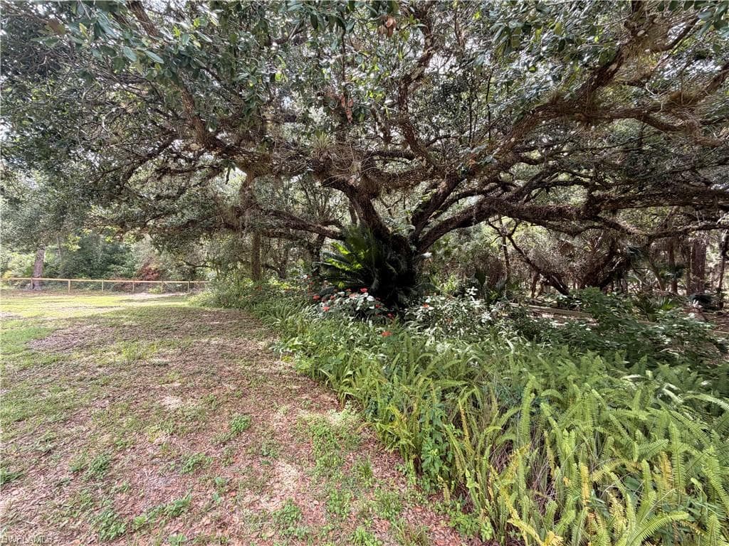 18251 Persimmon Ridge Rd, Alva, photo 3