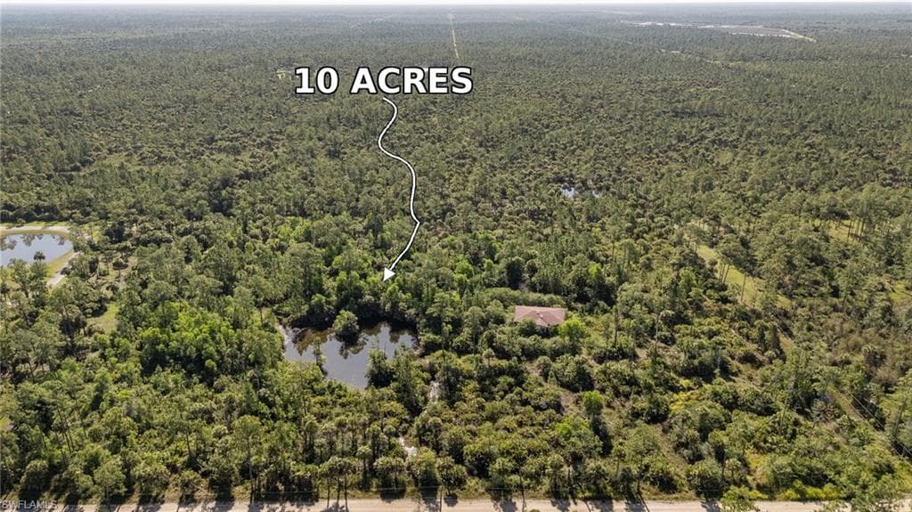 6010 Lee Williams Rd, Naples, photo 2