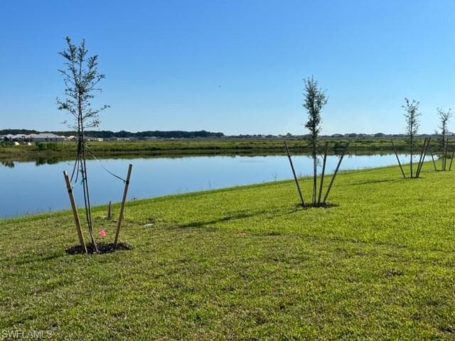 14619 Carva Ln, Fort Myers, photo 3