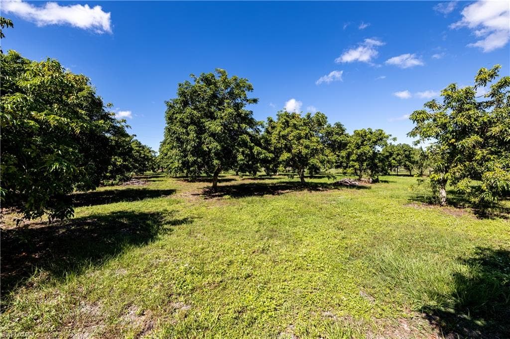 13260 Morningstar Ln, Bokeelia, photo 3